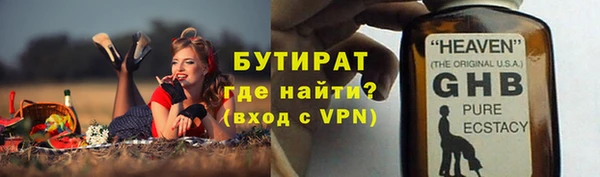 дмт Бородино