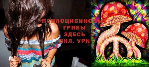дурь Богородицк