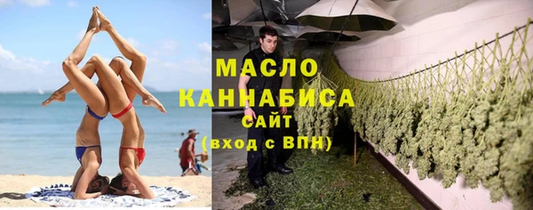 дмт Бородино