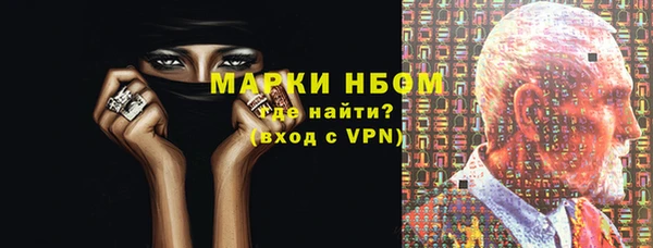 дмт Бородино