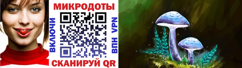 мориарти телеграм  Духовщина  Псилоцибиновые грибы GOLDEN TEACHER 